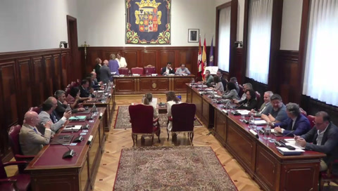 Pleno ordinario de 29 de mayo 2025